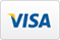 Visa, Logo